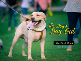 akp-lbbd-dogs-day-out-cover-1
