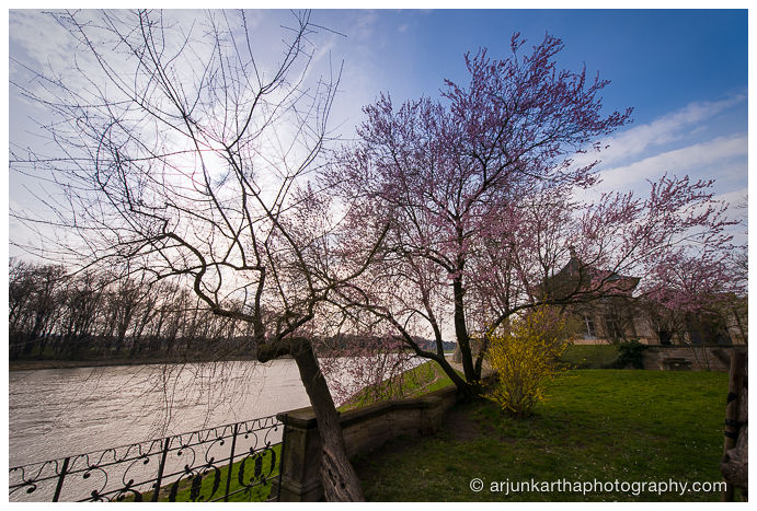 travel-photography-dresden-akp-146