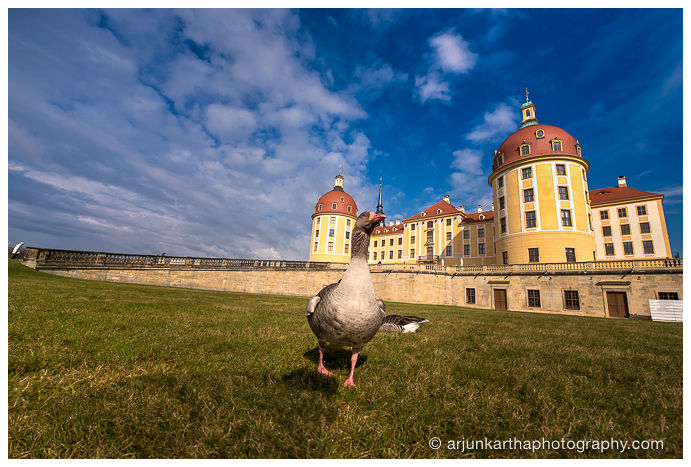 travel-photography-dresden-akp-86